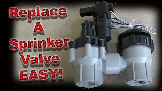 How to Replace a Sprinkler Valve [upl. by Adan583]