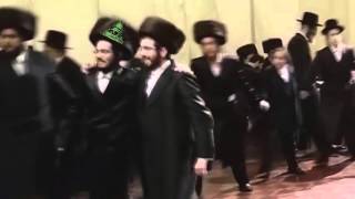 Muslim vs Jewish Dance Off 1 [upl. by Ydwor135]