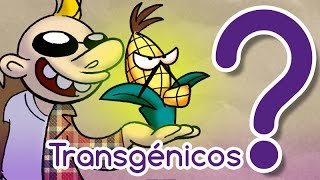 ¿Los transgénicos son peligrosos [upl. by Izogn]