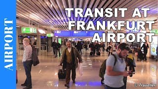 TRANSIT WALK AT FRANKFURT Airport FRA Terminal 1  Connection Flight Transfer Arriving amp Departing [upl. by Veator]