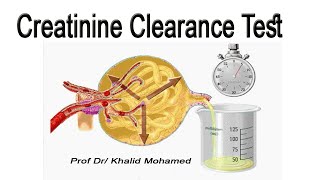 Creatinine Clearance Test تحليل استخلاص الكرياتينين [upl. by Laenej]