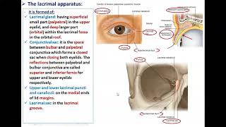 The Lacrimal System  Dr Ahmed Farid [upl. by Navoj426]