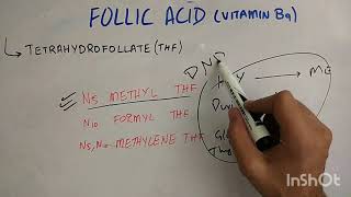 biochem of vitamin B 9 [upl. by Rawdan294]