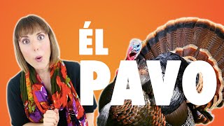 Él Pavo by Alina Celeste  Canciones Infantiles Spanish [upl. by Navillus]