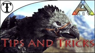 Fast Argentavis Taming Guide  Ark  Survival Evolved Tips and Tricks [upl. by Oralia]