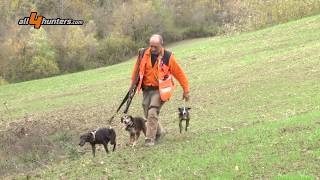 Caccia al cinghiale in battuta 20192020 [upl. by Abell]