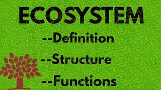 ECOSYSTEM  Definition  Structure And Functions [upl. by Allin194]