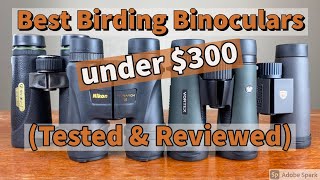 Best Birding Binoculars under 300  Tested amp Reviewed [upl. by Bittencourt88]