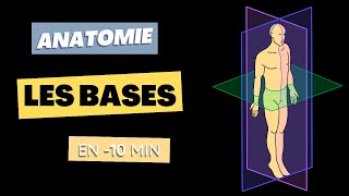 ANATOMIE  Axes  Plans  Positions [upl. by Kliman788]